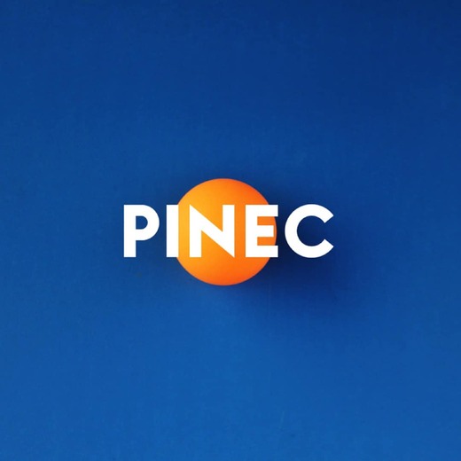 pinec.jpg